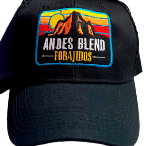 Gorro Andes Blend