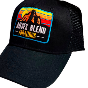 Gorro Andes Blend